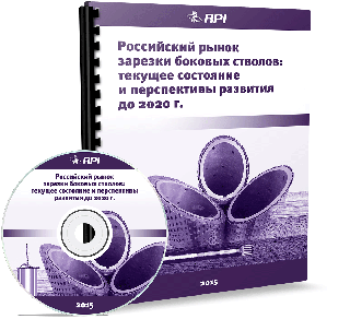 Российский рынок зарезки боковых стволов: текущее состояние и перспективы развития до 2020 года