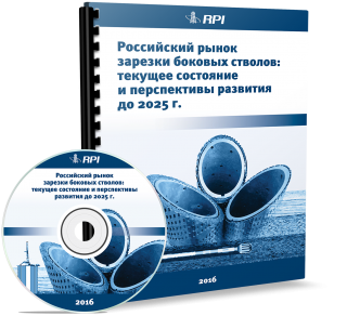 Российский рынок зарезки боковых стволов: текущее состояние и перспективы развития до 2025 года