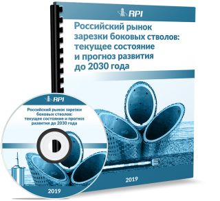 Российский рынок зарезки боковых стволов: текущее состояние и прогноз развития до 2030 года